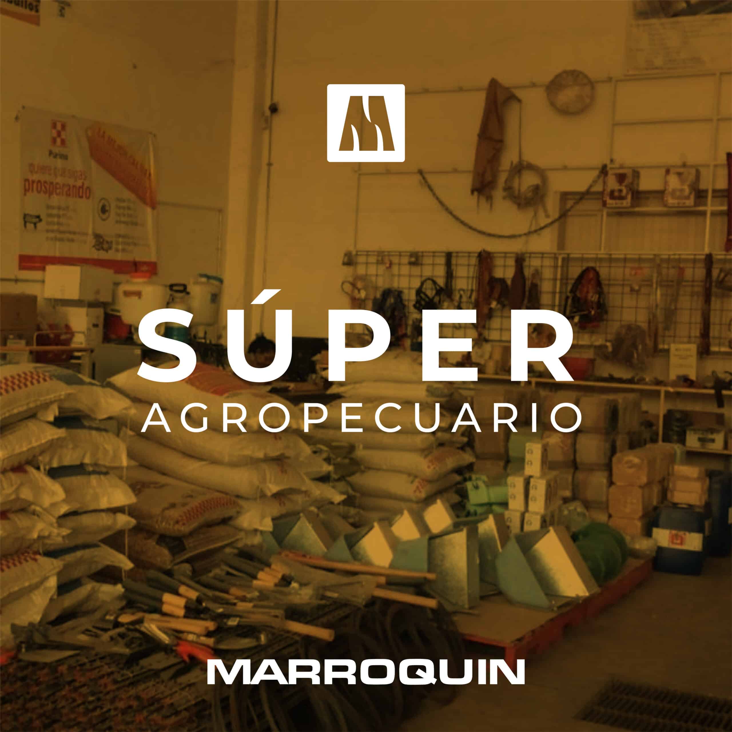 superagropecuario-marroquin-wp